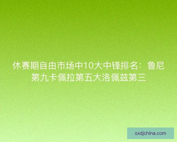 休赛期自由市场中10大中锋排名：鲁尼第九卡佩拉第五大洛佩兹第三